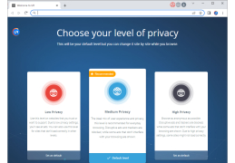 1stBrowser - privacy