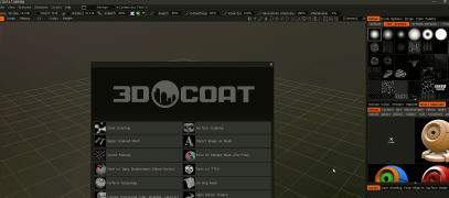 3D-Coat - Screenshot 1