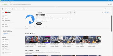 4k Video Downloader+ Portable - Screenshot 3