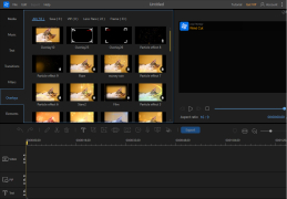 AceThinker Video Editor - overlays