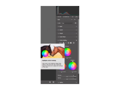 Adobe Camera Raw - color-grade