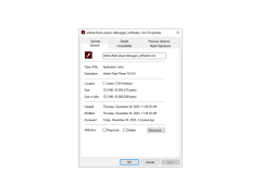 Adobe Flash Player Debugger - properties