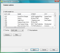 Advanced XLS Converter screenshot 1