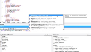 Altova XMLSpy Enterprise Edition - Screenshot 5