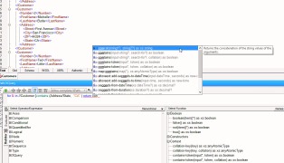 Altova XMLSpy Professional Edition - Screenshot 5