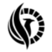 AMS Phoenix File Rescue logo