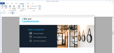 Ashampoo PDF Pro - Screenshot 2