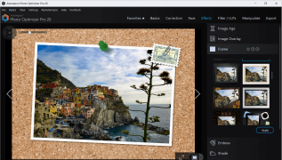 Ashampoo Photo Optimizer Pro - Screenshot 3
