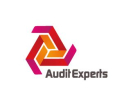 Audit Expert logo