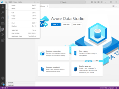 Azure Data Studio - edit-menu