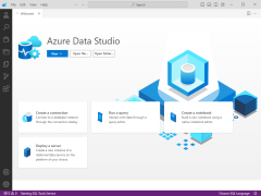 Azure Data Studio - main-screen