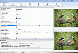 Batch It - Screenshot 4