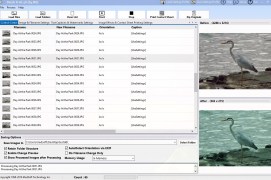 Batch It - Screenshot 2