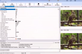Batch It - Screenshot 5