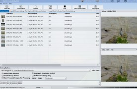 Batch It - Screenshot 3