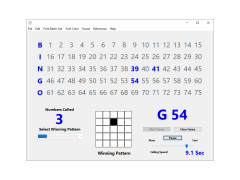 Bingo Caller - game-process
