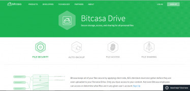 Bitcasa screenshot 1