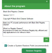 Black Bird Registry Cleaner screenshot 2