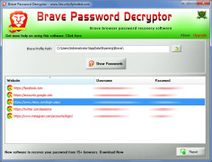 Brave Password Decryptor screenshot 1