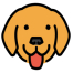 Bruno API Client