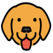 Bruno API Client logo
