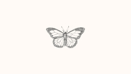 Butterfly on Desktop logo