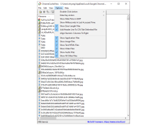 ChromeCacheView - options-menu
