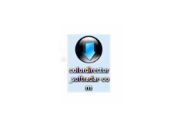 ColorDirector - logo