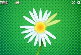 Daisy Petals - Screenshot 2