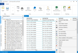 Datasly screenshot 1