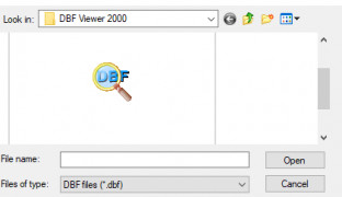 DBF Viewer 2000 screenshot 3