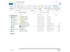 DirectShow FilterPack - main-folder