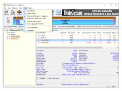 DiskGenius (PartitionGuru) - view-menu