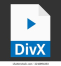 DivX Web Player logo