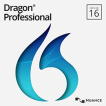 Dragon Professional Individual logo