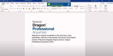 Dragon Professional Individual - Screenshot 1