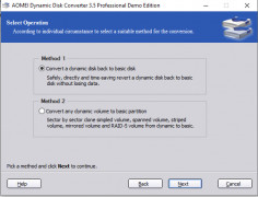 Dynamic Disk Converter screenshot 1