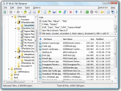 EF Multi File Renamer screenshot 1