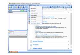 EMS SQL Manager Lite for InterBase and Firebird - options