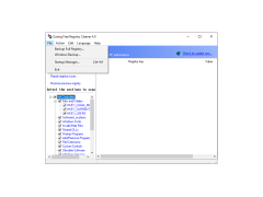 Eusing Free Registry Cleaner - file-menu