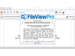 FileViewPro 2019 - about
