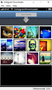Free Instagram Downloader screenshot 1