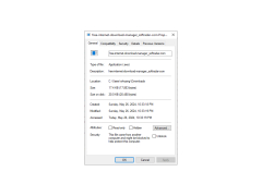 Free Internet Download Manager - properties