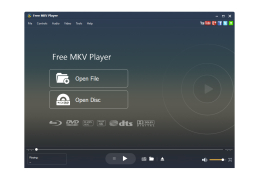 Free MKV Player - main-screen