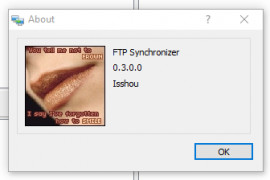 FTP Synchronizer screenshot 2