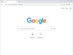 Google Chrome Portable - main-screen