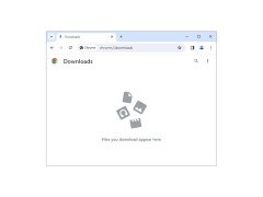 Google Chrome - downloads