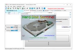 Hard Disk Sentinel Professional - about-application