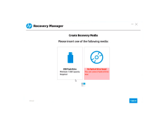HP Recovery Manager - usb-or-disk-selection