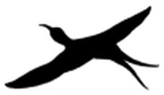 Image Eye logo